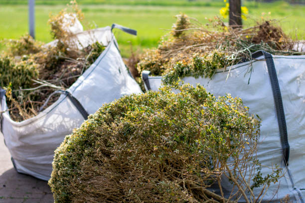 Best Commercial Cleanout Services  in Belle Plaine, KS